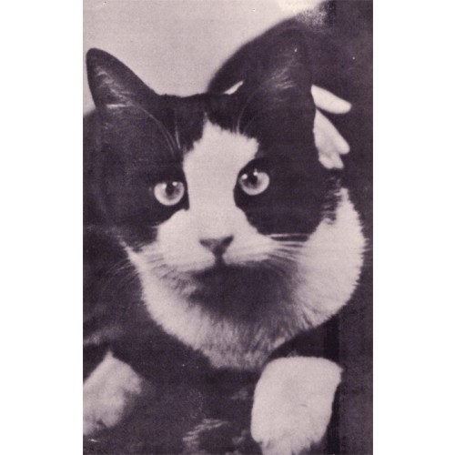 Savitri Devi: Long-Whiskers und die zweibeinige Göttin
